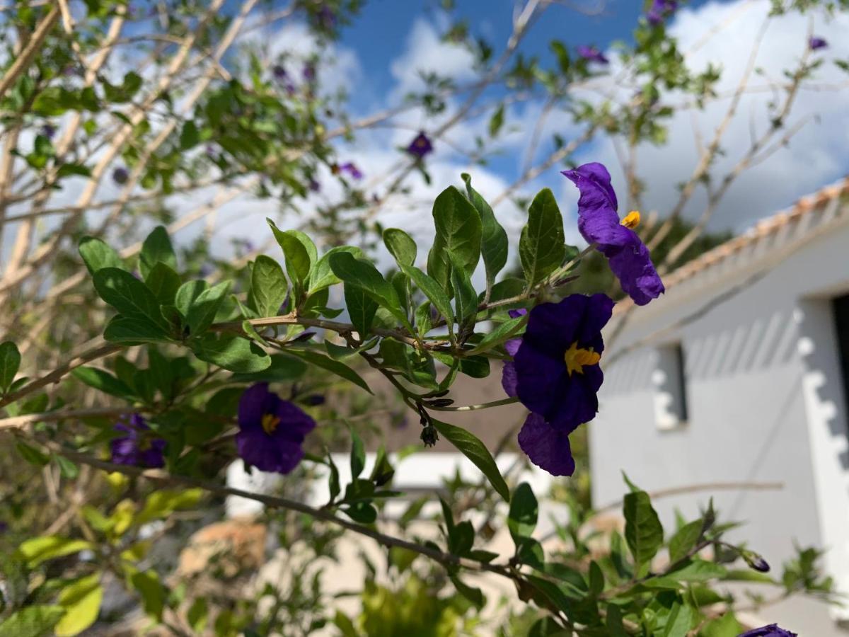 Finca Bona Nit Jávea Exteriér fotografie